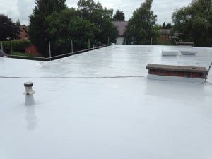 Commercial Tor Roof 